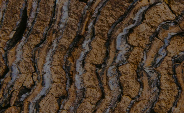 Экспозиция «Археология и краеведение»